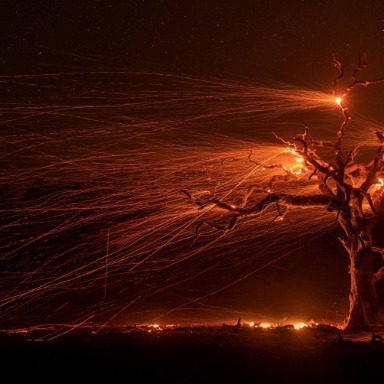 Secuencia 26 febrero test